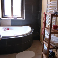 Hotel Oldrichuv Dub ванная