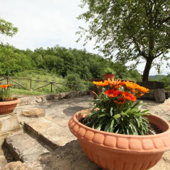 Отель Casa Al Bosco Реггелло фото 5