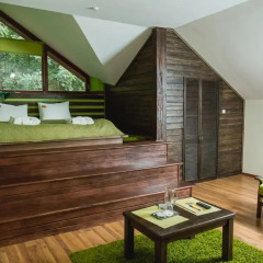 Гостиница Bogolvar Eco Resort & Spa 3* Номер Делюкс с различными типами кроватей фото 3