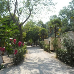 Отель Camping Village Costa Verde Потенца-Пичена фото 2