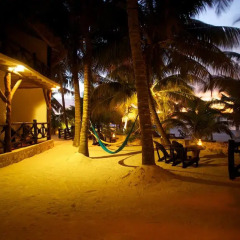 Отель Beachfront Hotel La Palapa - Adults Only Мексика, Остров Ольбокс - отзывы, цены и фото номеров - забронировать отель Beachfront Hotel La Palapa - Adults Only онлайн фото 11