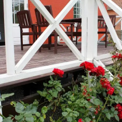 Отель Alberte Bed & Breakfast Дания, Оденсе - отзывы, цены и фото номеров - забронировать отель Alberte Bed & Breakfast онлайн фото 5