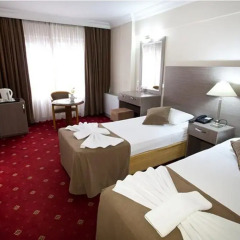 Hotel Büyük Sahinler 4* Стандартный номер с различными типами кроватей фото 4
