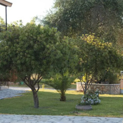 Отель Olive Grove Resort 3* Студия с различными типами кроватей фото 30