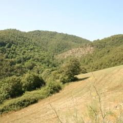 Отель Tribbiano Ареццо фото 10