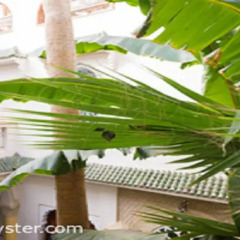 Отель Riad Maison-Arabo-Andalouse Марокко, Марракеш - отзывы, цены и фото номеров - забронировать отель Riad Maison-Arabo-Andalouse онлайн фото 7