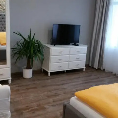 Отель Penzion Valkoun-Lilienfeld 3* Стандартный номер с различными типами кроватей фото 4