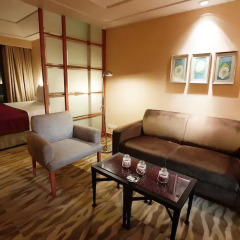 Отель Grand New Delhi Нью-Дели комната для гостей фото 5
