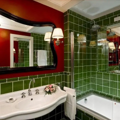 Hotel Regency 5* Полулюкс с двуспальной кроватью фото 16