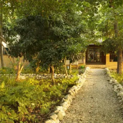 Отель Maruni Sanctuary by KGH Group Непал, Саураха - отзывы, цены и фото номеров - забронировать отель Maruni Sanctuary by KGH Group онлайн фото 6