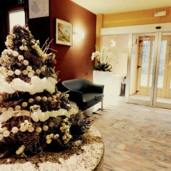 Hotel Pizzo Scalino Киеза-ин-Вальмаленко интерьер отеля