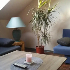 Отель Ferienwohnung Smeralova Прага комната для гостей фото 5