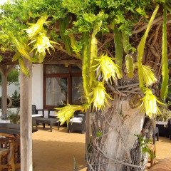 Отель Hostal Marblau