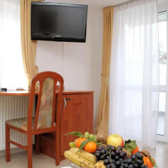 Hotel Vila Tina 3* Номер Делюкс с различными типами кроватей фото 26