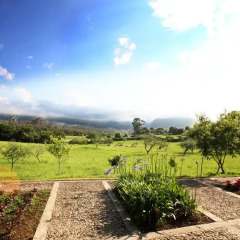 Отель Apartamentos Turísticos Finca Las Nieves фото 5
