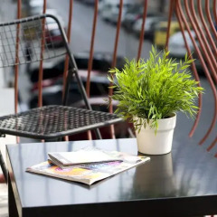 Butterfly Hostel & Guesthouse балкон