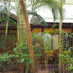Отель Birds & Bees Resort 3* Стандартный номер с различными типами кроватей фото 2