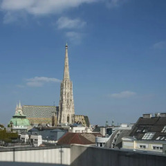 Отель Penthouse Stephansplatz Люкс с различными типами кроватей фото 15