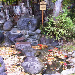 Okunikko Kogen Hotel Никко фото 3