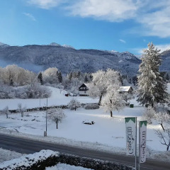 Отель Gasperin Bohinj 3* Стандартный номер с различными типами кроватей фото 7