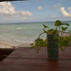 Отель Posada del Sol Tulum 3* Номер Делюкс с различными типами кроватей фото 21