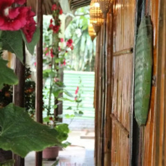 Отель Under the coconut tree Номер Делюкс с различными типами кроватей фото 5