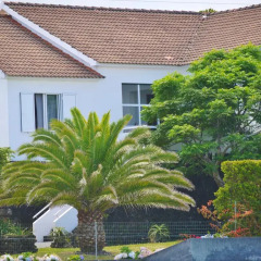 Отель Casa do Pico Португалия, Мадалена - отзывы, цены и фото номеров - забронировать отель Casa do Pico онлайн фото 11