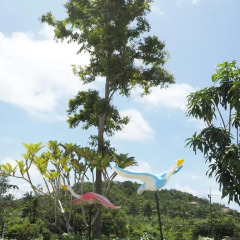 Отель Chomview Resort пляж