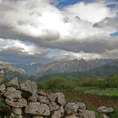 Отель El PatÍn De Monchu Кабралес