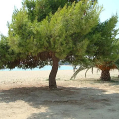 Отель Kalives Resort пляж