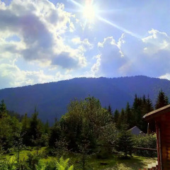 Гостиница Villa Alpiyka фото 13