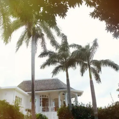 Отель Nutmeg Villa фото 4