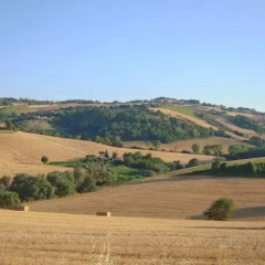 Отель Agriturismo Ponterosa Морровалле приотельная территория