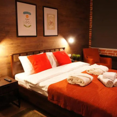 LiKi LOFT HOTEL 3* Улучшенный номер с различными типами кроватей фото 9