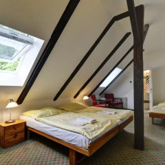 Hotel Svornost 3* Номер категории Эконом с различными типами кроватей фото 2