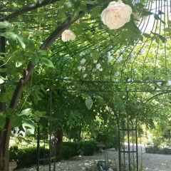 La Foret Jardin