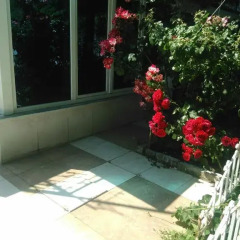Отель Guest House Villa Roza Болгария, Золотые пески - отзывы, цены и фото номеров - забронировать отель Guest House Villa Roza онлайн фото 3