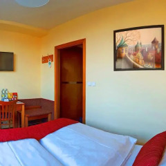 Wellness Hotel Step 4* Номер Эконом с разными типами кроватей фото 4
