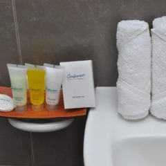 Отель Comfort@15 Hotel Colombo Шри-Ланка, Коломбо - 1 отзыв об отеле, цены и фото номеров - забронировать отель Comfort@15 Hotel Colombo онлайн ванная фото 2