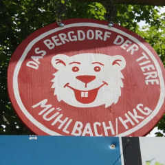 Отель Mühlbach Alpendomizil II гостиничный бар