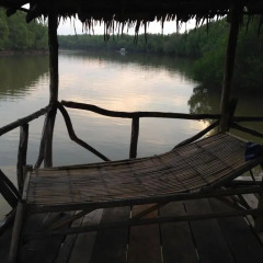 Отель Palm Inn
