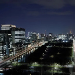 Palace Hotel Tokyo 5* Номер Делюкс фото 24