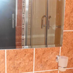 Hotel Ela (Paisii Hilendarski) ванная фото 2