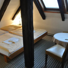 Hotel Svornost 3* Стандартный номер с двуспальной кроватью фото 6