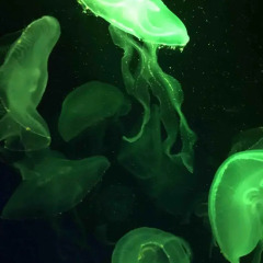 Отель Park Royal Cozumel - Все включено спортивное сооружение