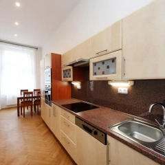 Отель Historic Centre Apartments V Чехия, Прага - отзывы, цены и фото номеров - забронировать отель Historic Centre Apartments V онлайн в номере