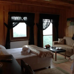 Villa de Pelit Hotel 3* Стандартный номер с различными типами кроватей фото 21