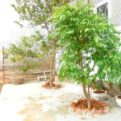 Отель Phuong Thanh Homestay Далат фото 3