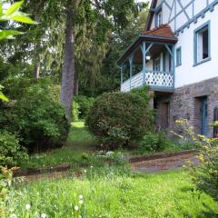 Отель Das Alte Forsthaus Гайзенхайм фото 5