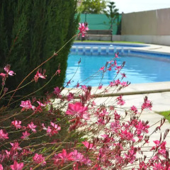 Отель Quad House 2921 Испания, Ориуэла - отзывы, цены и фото номеров - забронировать отель Quad House 2921 онлайн бассейн фото 3